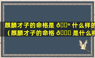 麒麟才子的命格是 🌺 什么样的（麒麟才子的命格 🐞 是什么样的人）